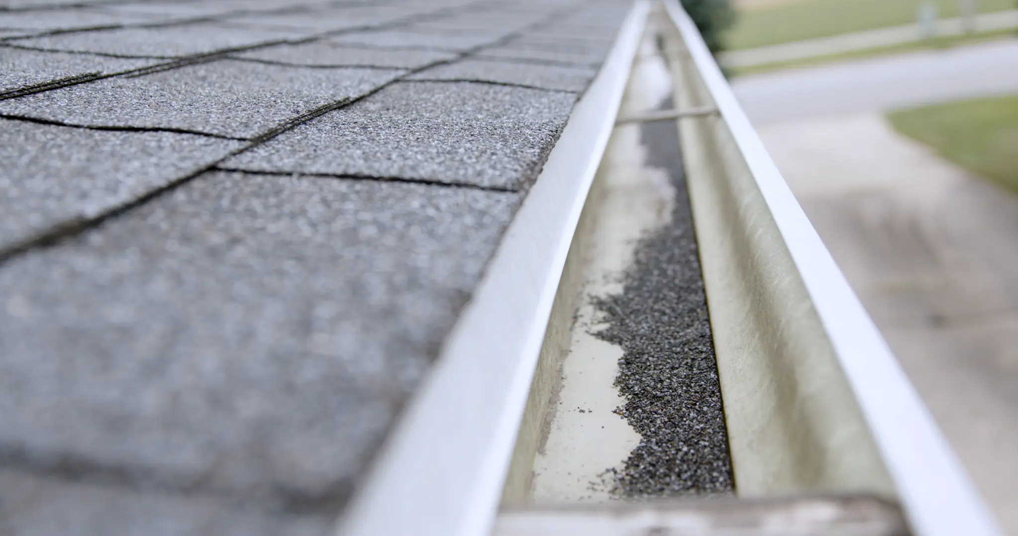 Roof Inspection